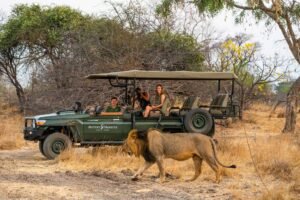 6 Days Zimbabwe Private Tour