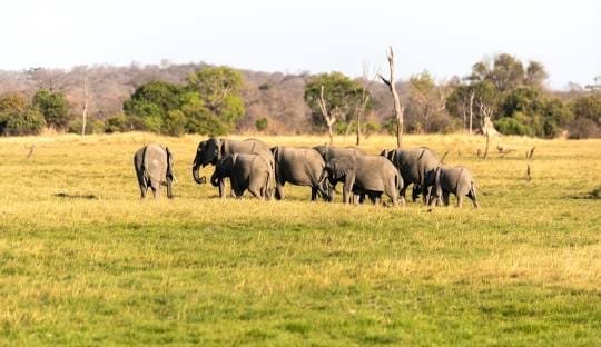 Kafue National Park