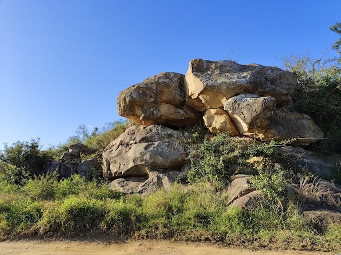 Kruger National Park