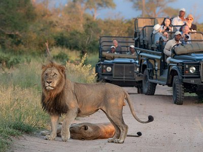 Kruger Private Reserves