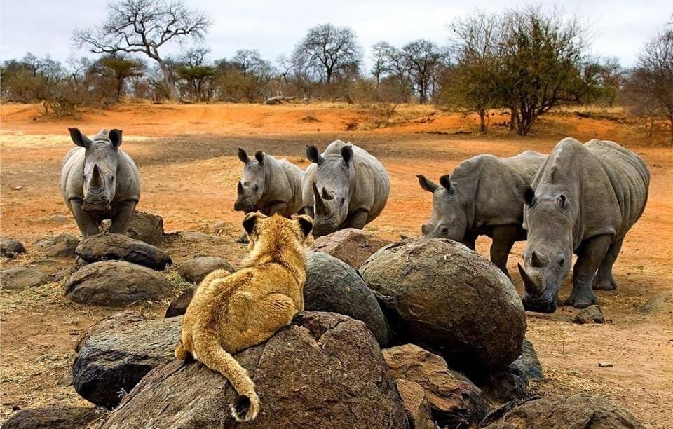 Mosi-oa-Tunya National Park