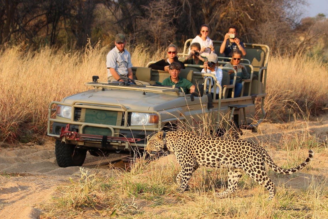 Honeymoon Safari in Namibia