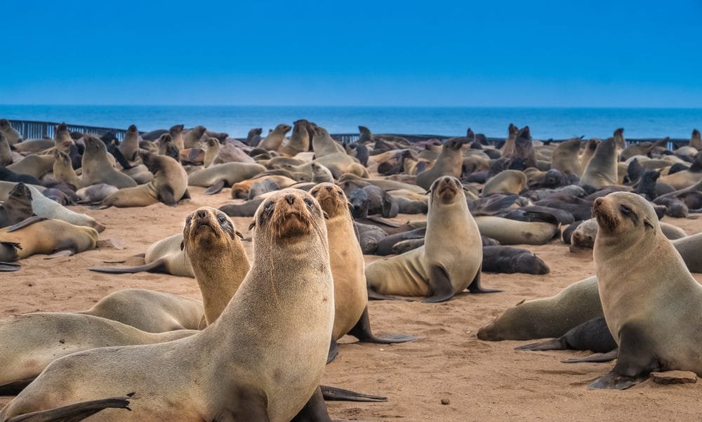 10 Best Places to Visit in Namibia