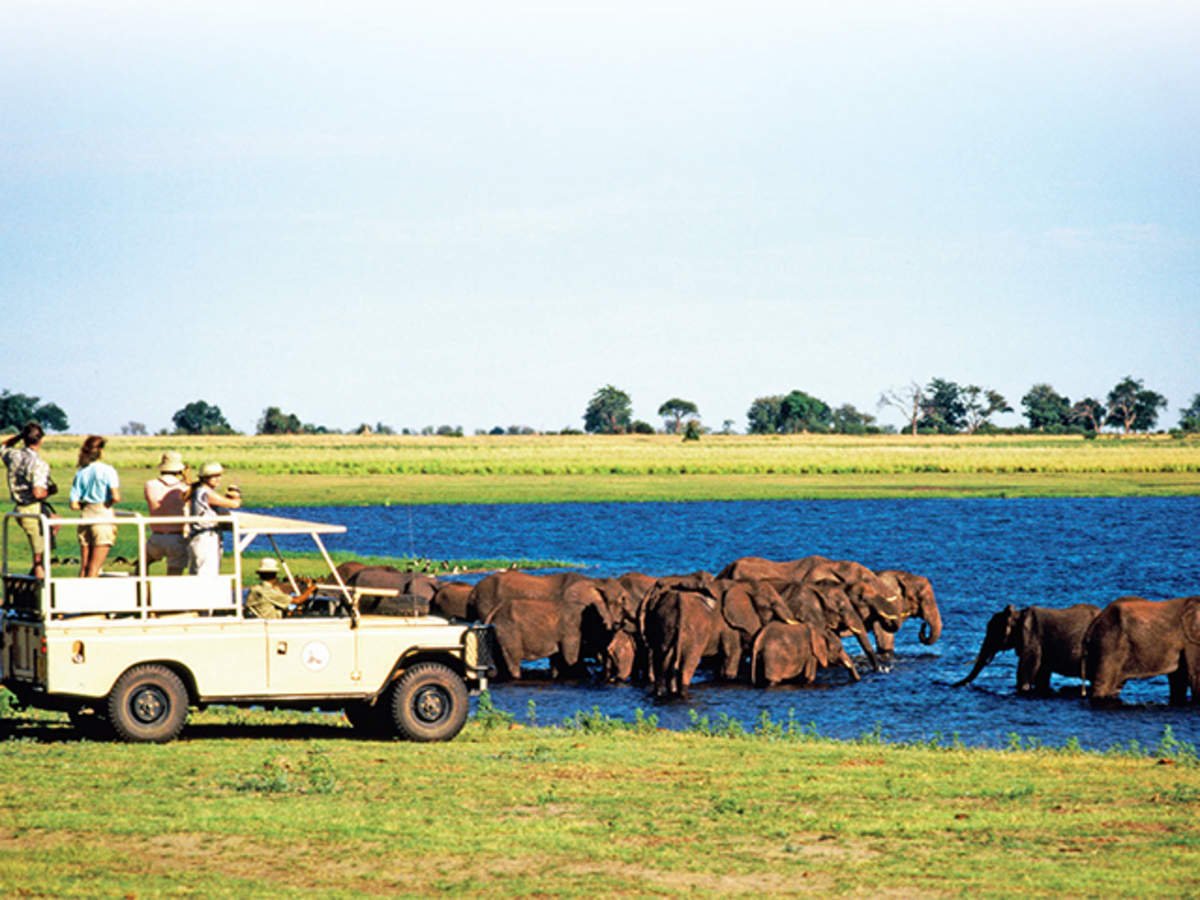 3 Days Etosha Guided Camping Safari